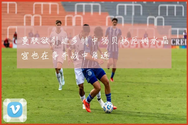 曼联欲引进多特中场贝林厄姆水晶宫也在争夺战中角逐