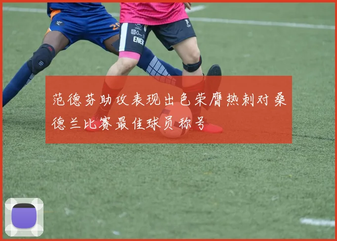 范德芬助攻表现出色荣膺热刺对桑德兰比赛最佳球员称号
