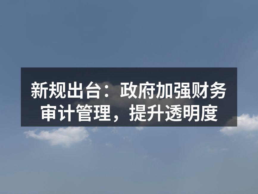 新规出台：政府加强财务审计管理，提升透明度